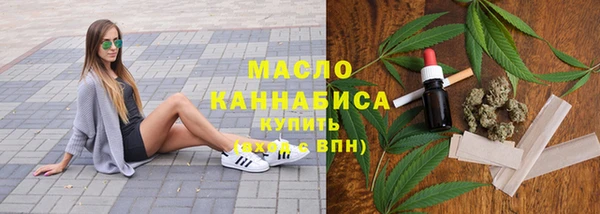 гидра Богородск