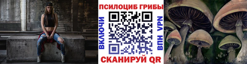 Галлюциногенные грибы GOLDEN TEACHER MEGA Бодайбо
